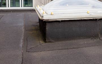 disadvantages of Dunloy flat roofs