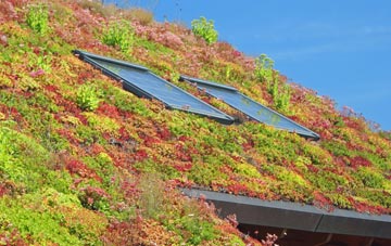 Dunloy living roof systems
