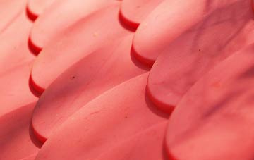 Dunloy plastic roof costs