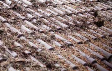 Dunloy roof cleaning companies