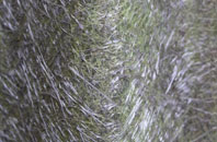 Dunloy fibreglass roof work